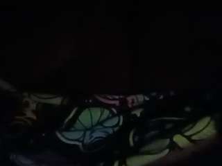thetortuga webcam