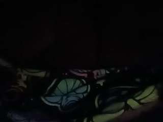 thetortuga webcam