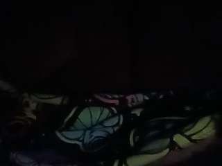thetortuga webcam