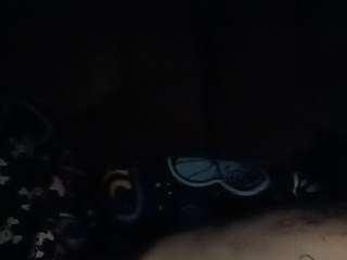 thetortuga webcam