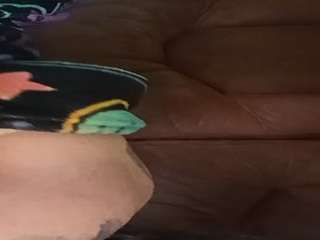 thetortuga