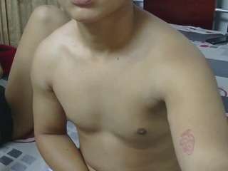 fer-isaac webcam model