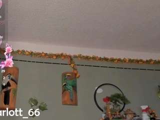 sharlottsmith webcam model