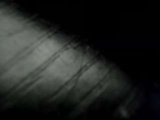 bombshellhooters18 Profile Image