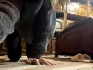 danyelholstad webcam