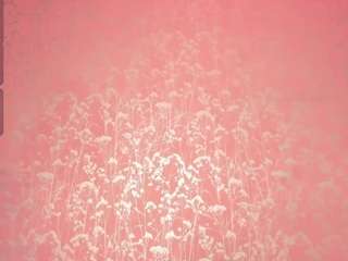 irisherrera's CamSoda show and profile