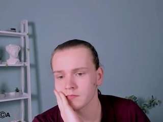 leo-void webcam model