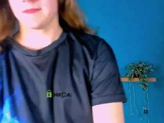 leo-void webcam model