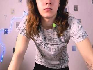 leo-void webcam model