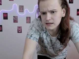 leo-void webcam model