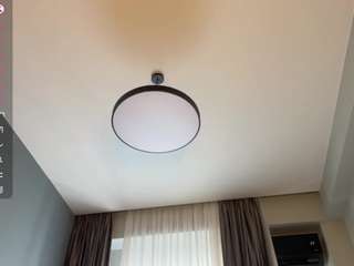 grettaflem