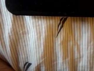 marka4205000 Live Webcam on CamSoda