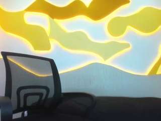 hollmanfronsh live webcam show