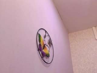 amy-wats0n Live Webcam on CamSoda