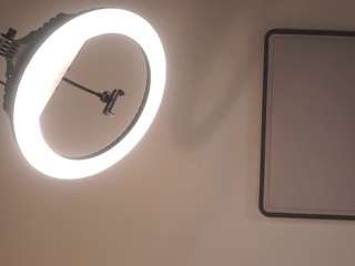 merrillkopperman webcam