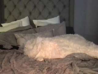 Live webcam model lonilolllypop on Soda Cams