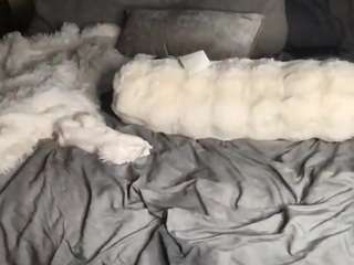 lonilolllypop webcam