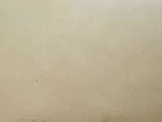  anglealexender chat room