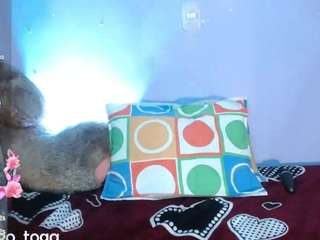 himiiko-toga Live Webcam on CamSoda