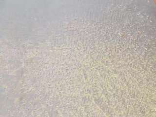 khiara-moretti Sex Cam Show