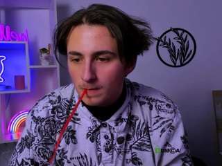 veldi-to webcam model