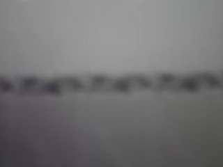  alicia0926 chat room