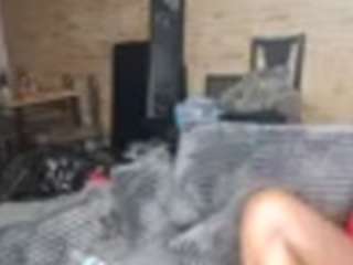 dangerous-chocol... Live Webcam on CamSoda