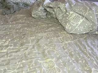 shandibunger Live Webcam on CamSoda