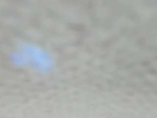 AlinaMoor