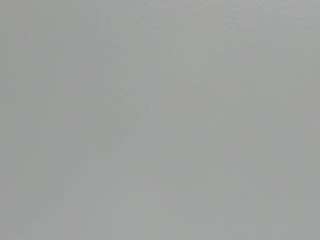 asshleybenson webcam