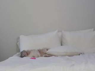 Live webcam model bunnykaye on Soda Cams