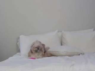 Live webcam model bunnykaye on Soda Cams