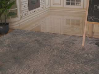 roseleeraderstorf webcam