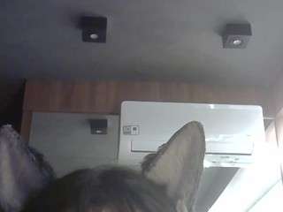 SkinnyKittenCam