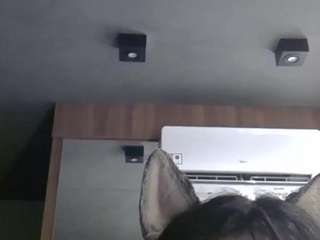 skinnykittencam