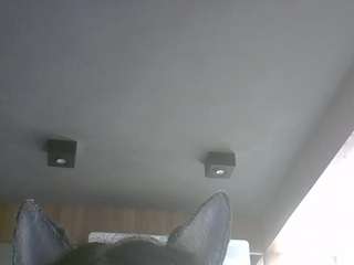 skinnykittencam