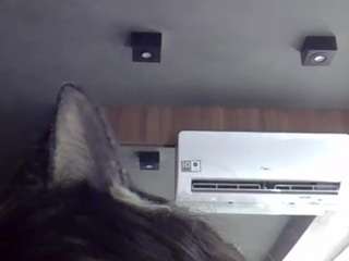 skinnykittencam