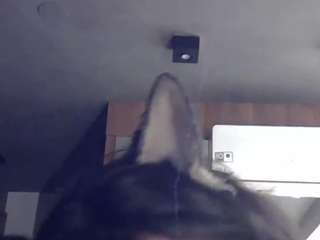 SkinnyKittenCam