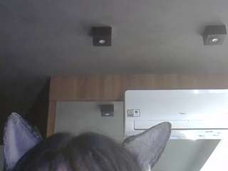 skinnykittencam