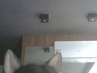 skinnykittencam