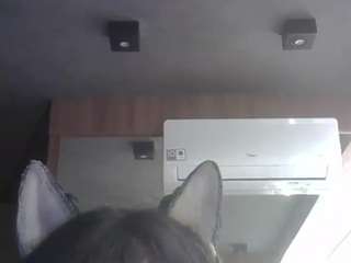 SkinnyKittenCam
