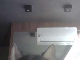 SkinnyKittenCam