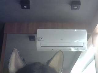skinnykittencam