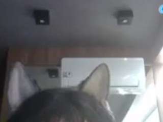 skinnykittencam