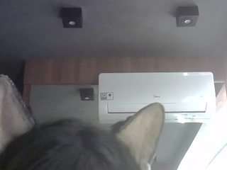 skinnykittencam Live Webcam on CamSoda