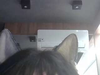 skinnykittencam