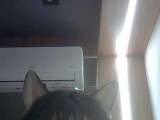 skinnykittencam