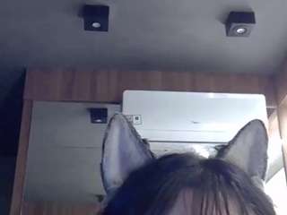 skinnykittencam webcam