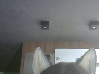skinnykittencam webcam