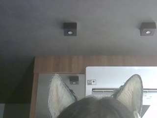 skinnykittencam webcam